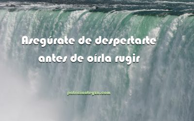 Las Cataratas del Niágara
